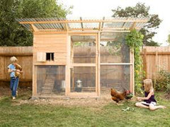 chicken coop