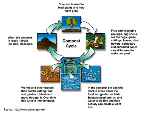 compost cycle
