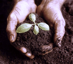 composting soil