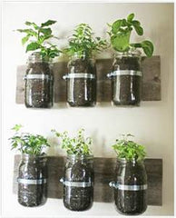 indoor herb garden