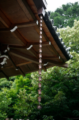 copper japanese cup style rain chain on temple