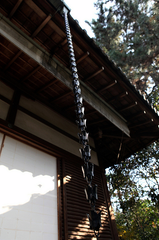 black japanese rain chain hanging on temple