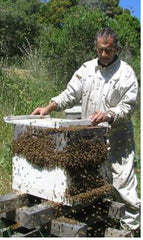 backyard beekeeping