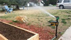 motion activated sprinkler