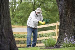 over fertilizing plants