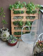 pallet with plants