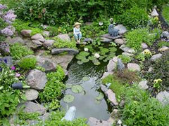 water garden