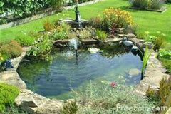 backyard pond