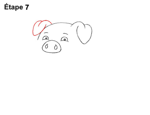 comment dessiner un cochon etape 7