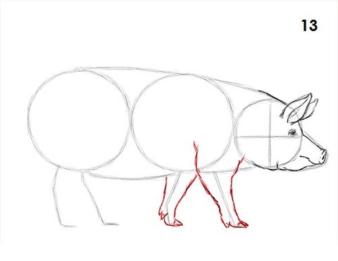 dessin cochon etape 13