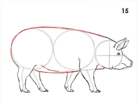 dessin cochon etape 15
