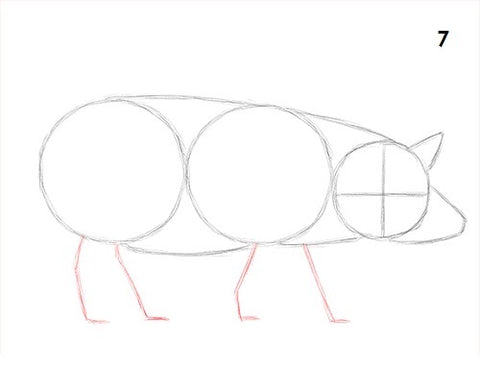 dessin cochon etape 7