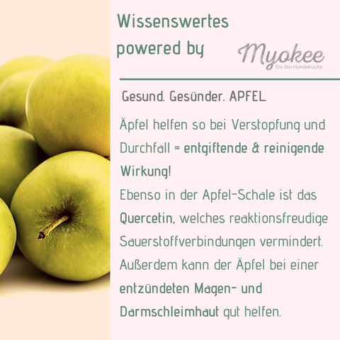 Apfel für Hunde