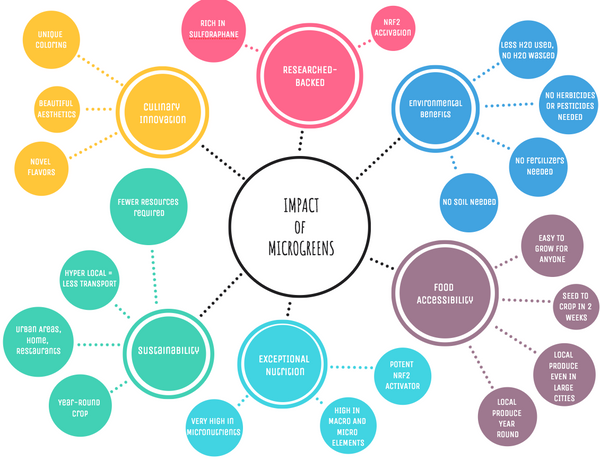 Infographic on the impact of microgreens in society and on the environment