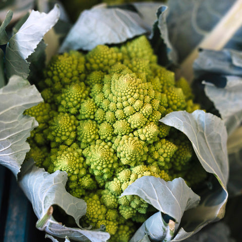 Close up of fractal-like Romanesco broccoli