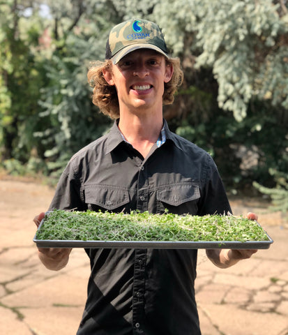 Picture of Stephen Cowan, Founder of Beyond Microgreens