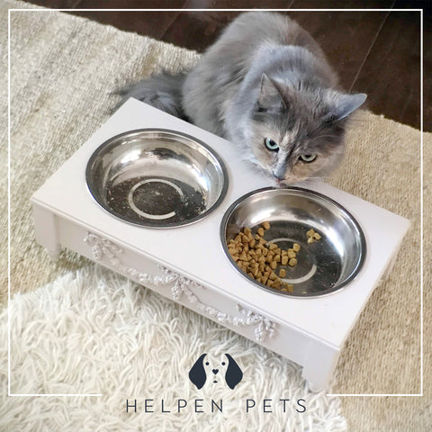 Helpen Pet Feeder and Tortie Cat