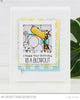 Buffalo Brights Paper Pad
