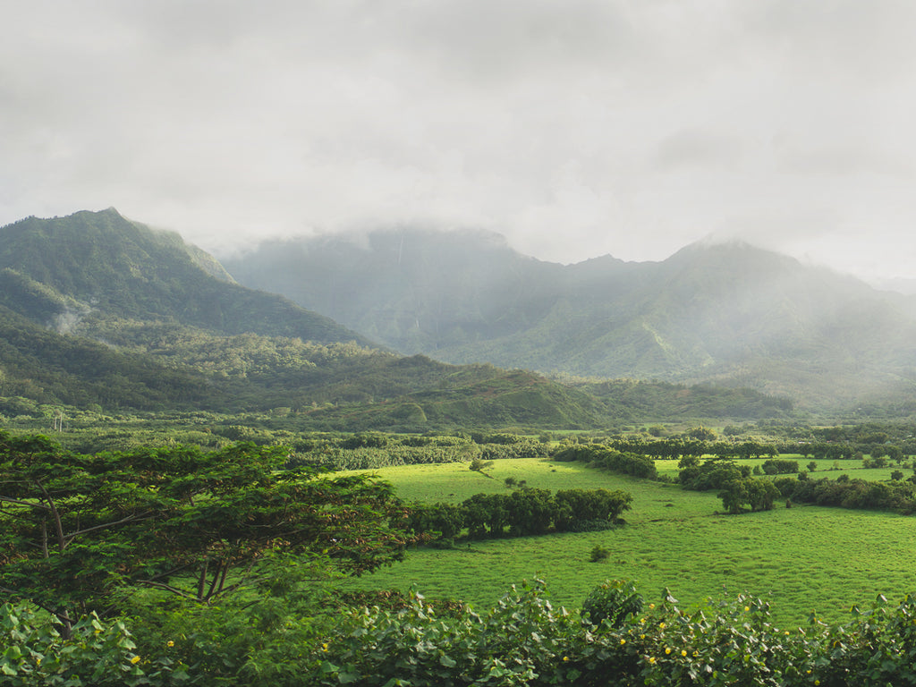 Facts about the garden island of Kauai from local landscape photographers fine art print shop photos. 