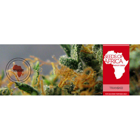 Seeds_of_Africa_Transkei_large.jpg?32488