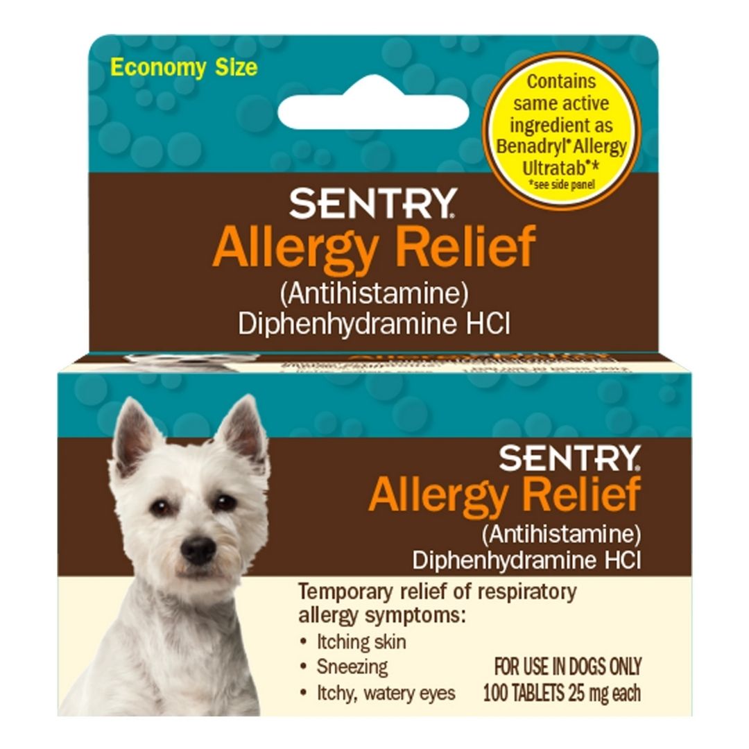 can you give allergy medicine to dogs