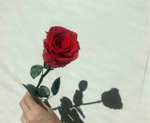 Bisou by Boite de Luxe®, long-stem Forever Rose is the perfect combination of lasting beauty and radiating elegance. Choose from a red, peach, or white rose.