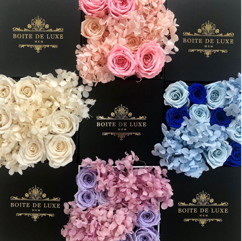 Forever Hydrangea x Rose Mix 