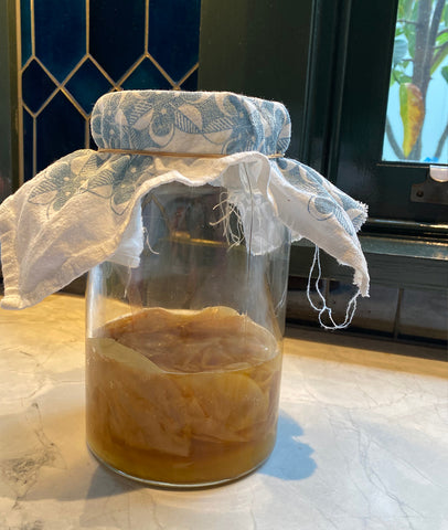 SCOBY's ready for next time.