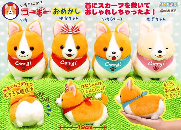 amufun corgi