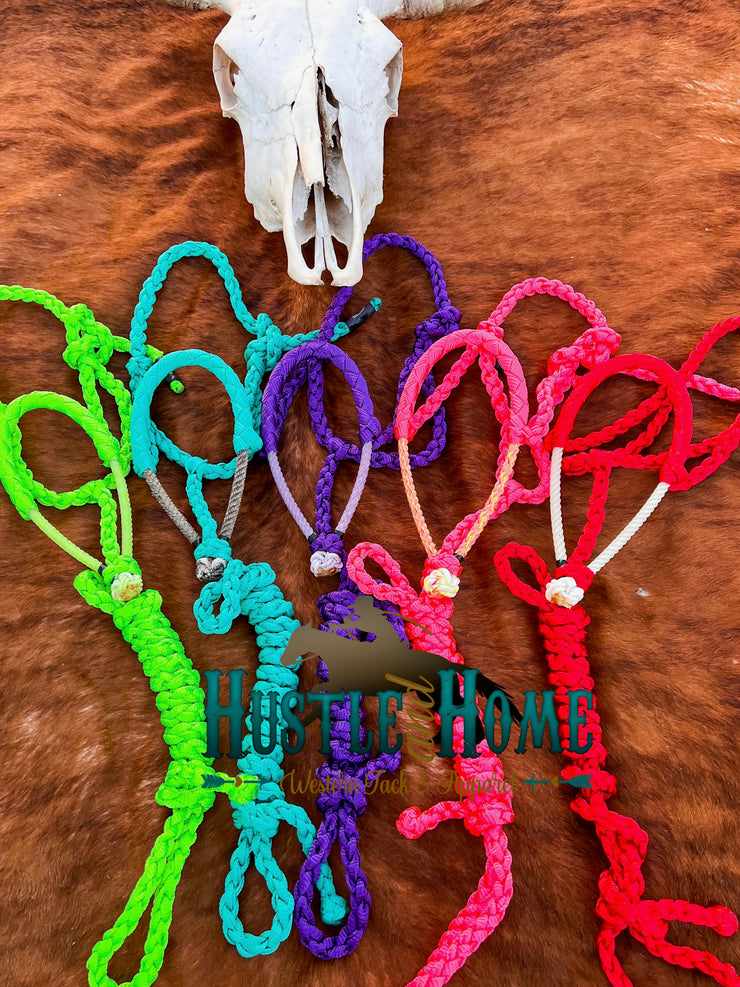 Pony Braided Lariat Halters