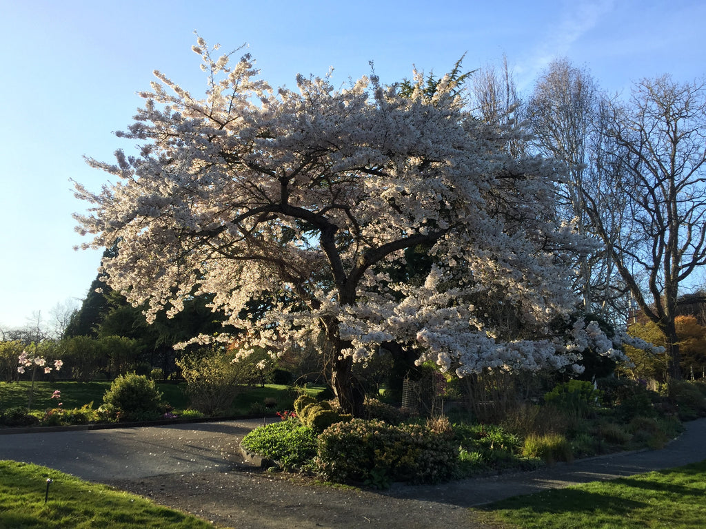 government house gardens victoria bc canada 