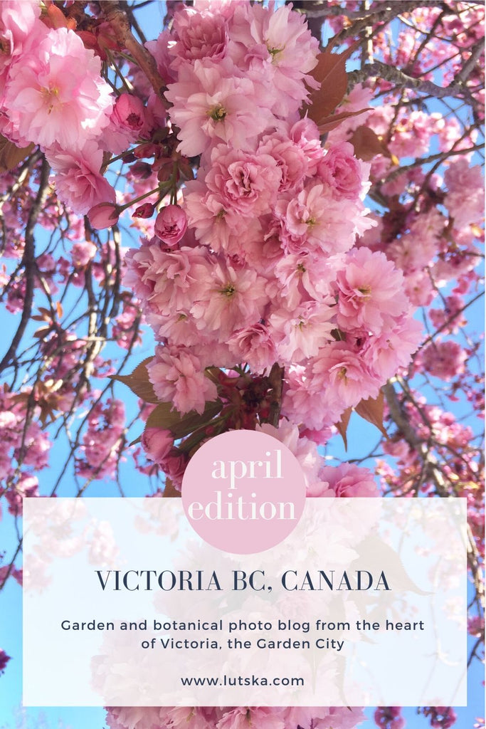 victoria bc canada garden guide 