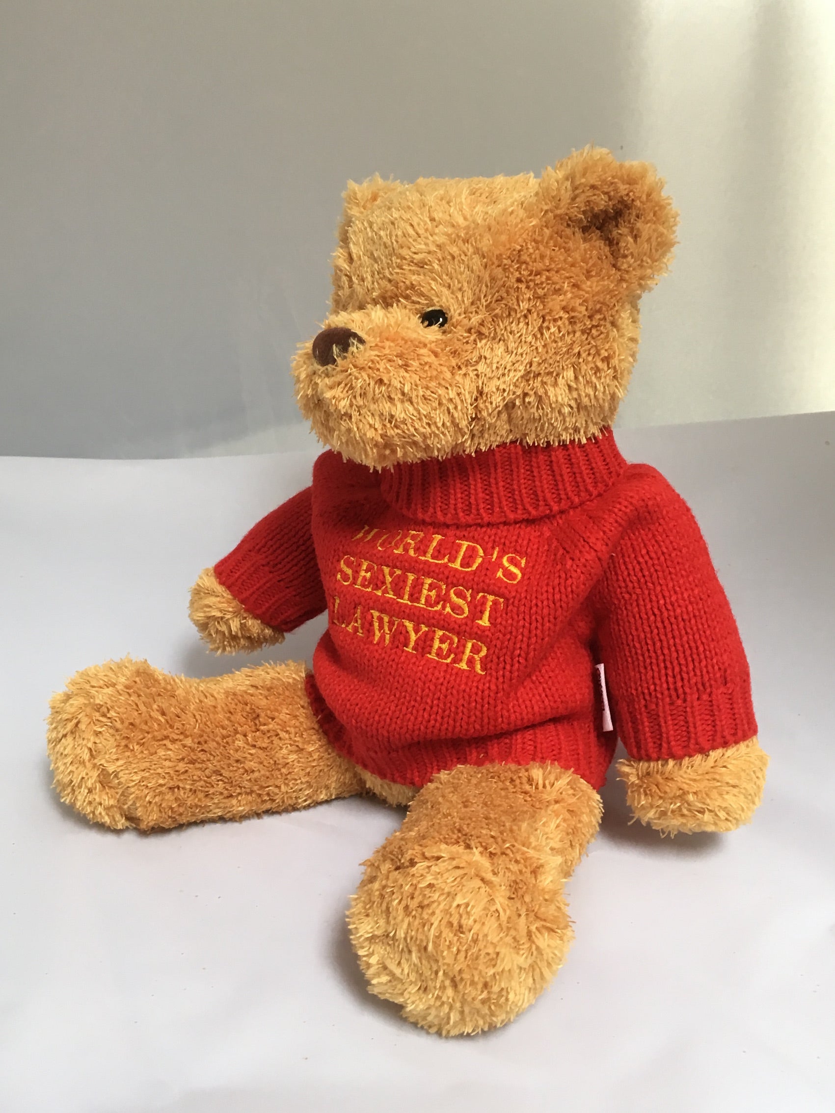 lawyer teddy bear