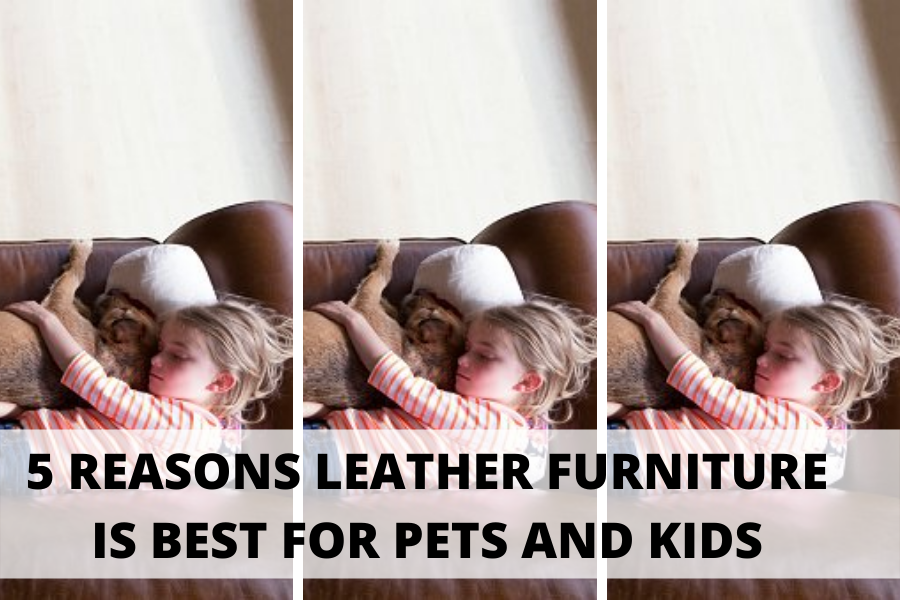 what kind of leather furniture is best with dogs