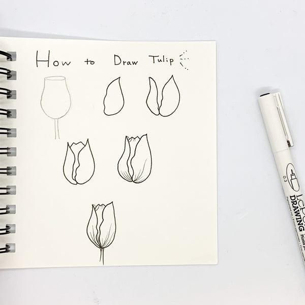 How to Draw a Tulip