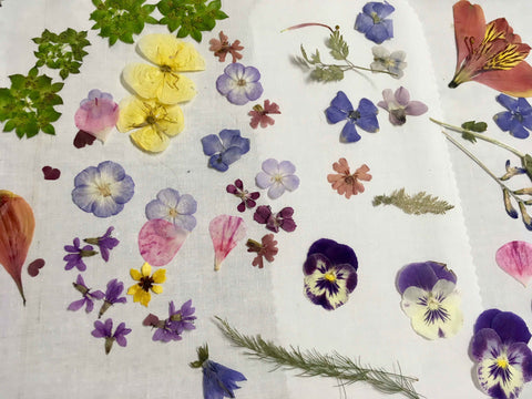 choose pressed flowers for the project