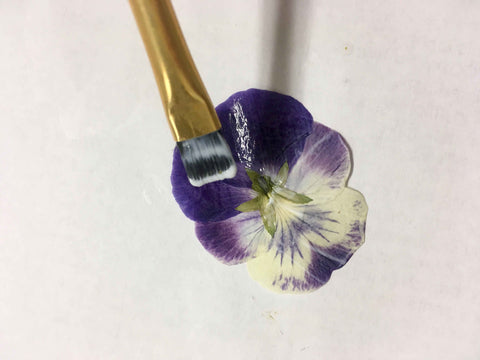 glue the underside of the pressed flower