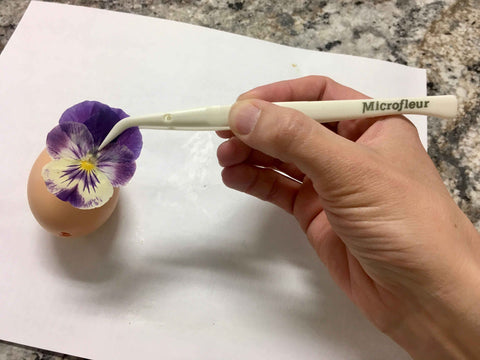 use Microfleur tweezers to place pressed flower on the egg