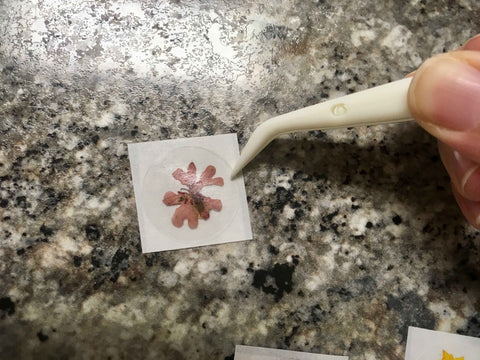 center pressed flower sticker on top