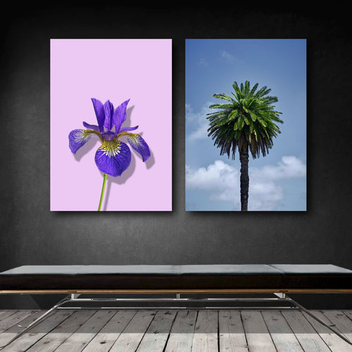 plakat sæt plakater med en iris og en palme