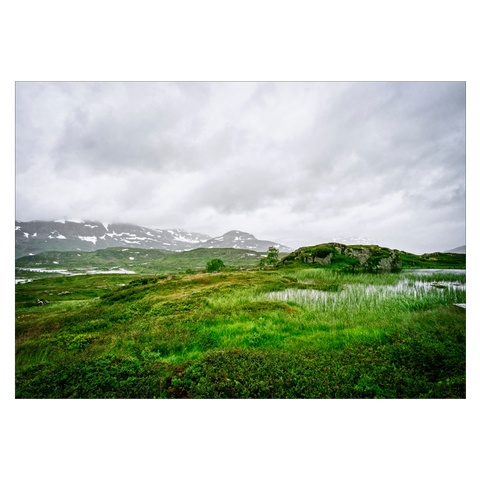 grøn plakat med landskabet ved telemark i norge