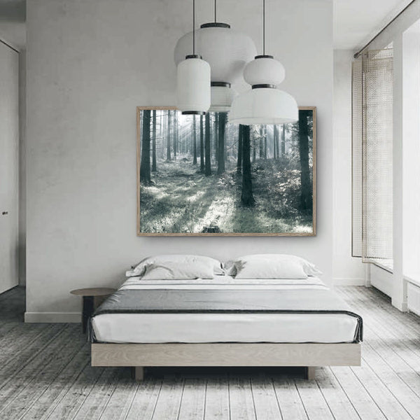 billede med skovmotiv i morgensol på en væg over seng