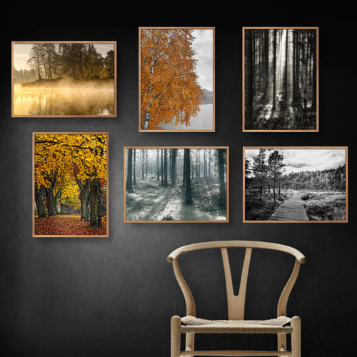 Seks efterårsbilleder på en sort stuevæg