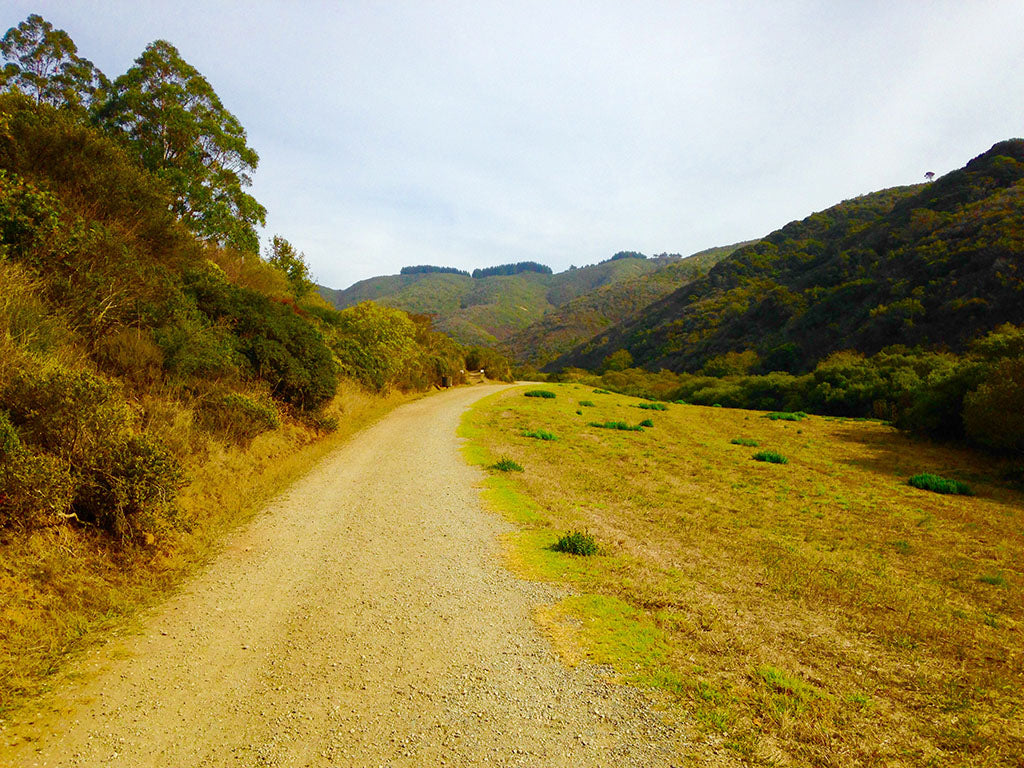 jill-nature-san-pedro-valley-pacifica