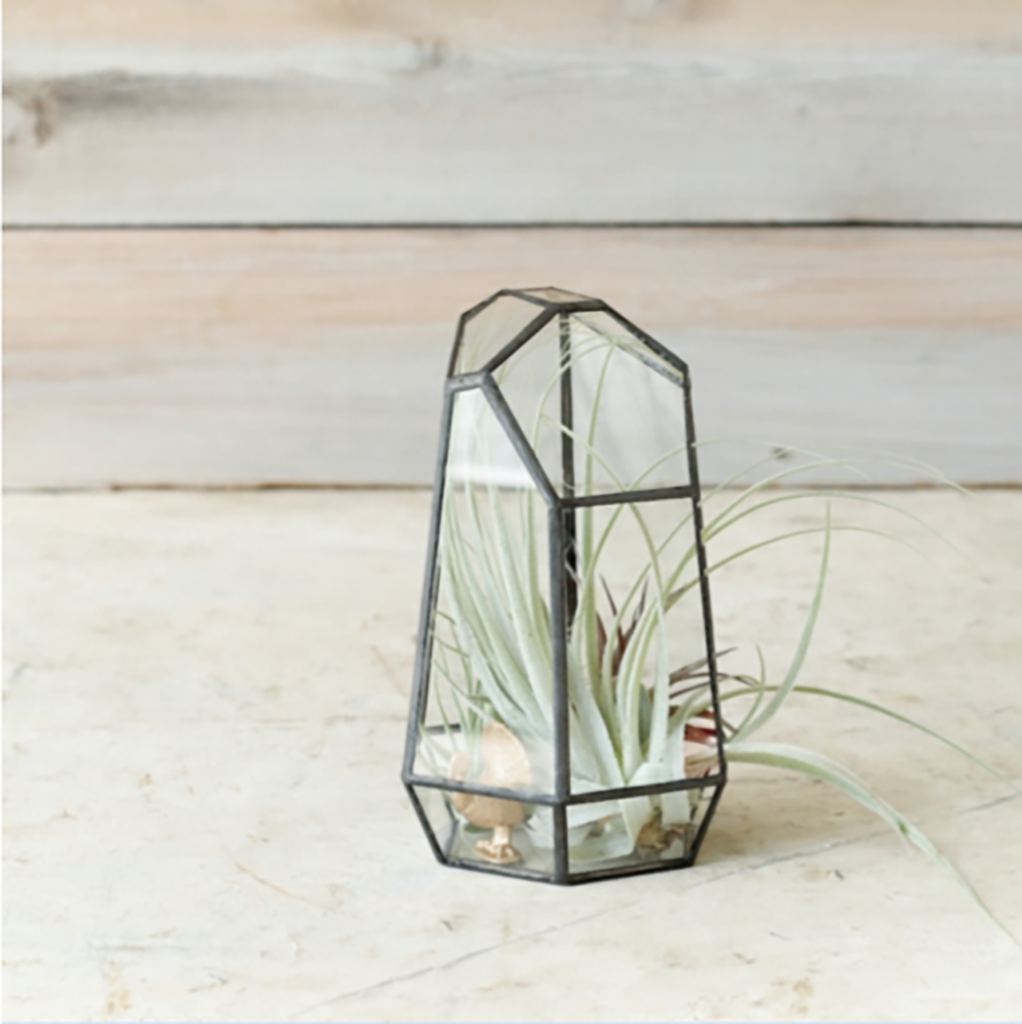 geo-terrarium-farmgirl-flowers