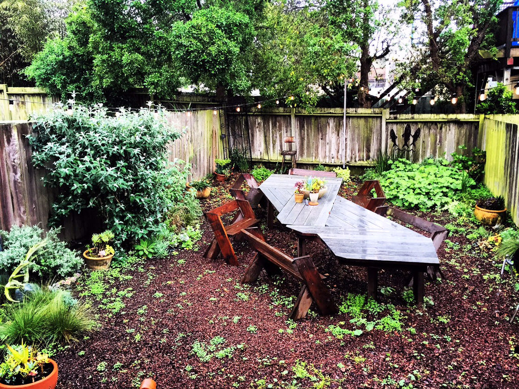 backyard-san-francisco-rain-outer-sunset