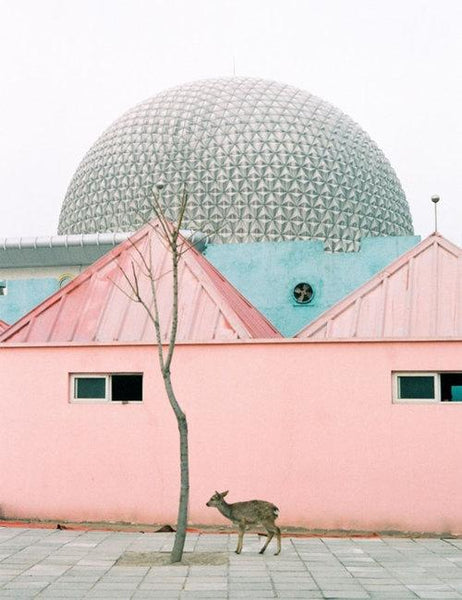 Pink house with a silver globe on top and a deer walking in front of it.