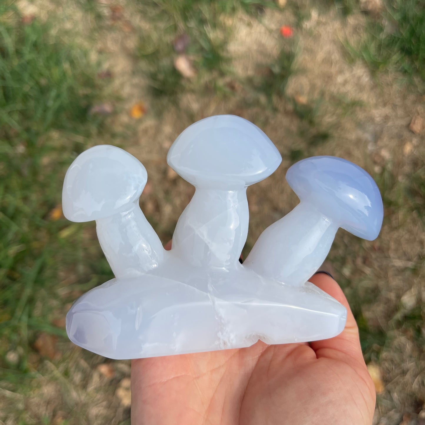 Blue Chalcedony Mushroom Collection