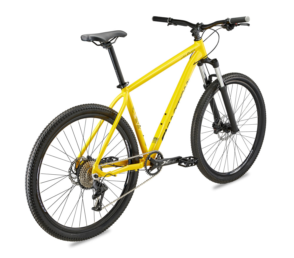 Leyenda genéticamente Jarra Alpaka 29" Men's Hardtail Mountain Bike – Eastern Bikes