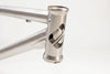 Titanium Nighttrain MTB Frame